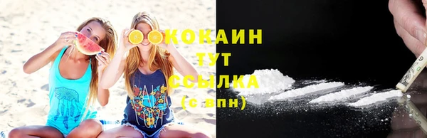 индика Алзамай