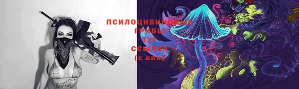 соль ск Приозерск
