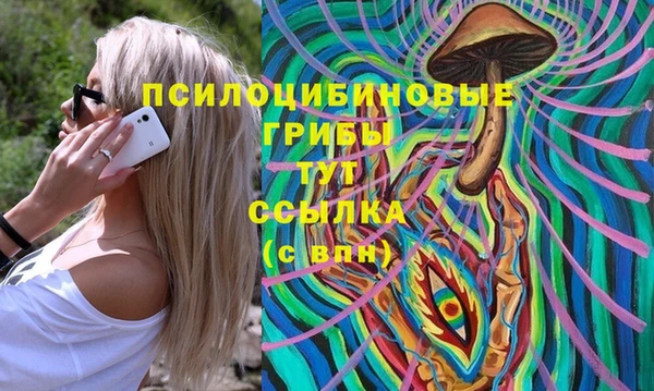 ALPHA-PVP Алексеевка