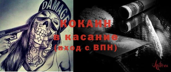 индика Алзамай