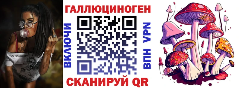 Галлюциногенные грибы мицелий цена Белокуриха